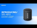 Sony XB13 Bocina Portátil Bluetooth Waterproof | Extra Bass | 16H | IP67 | Rosa Coral